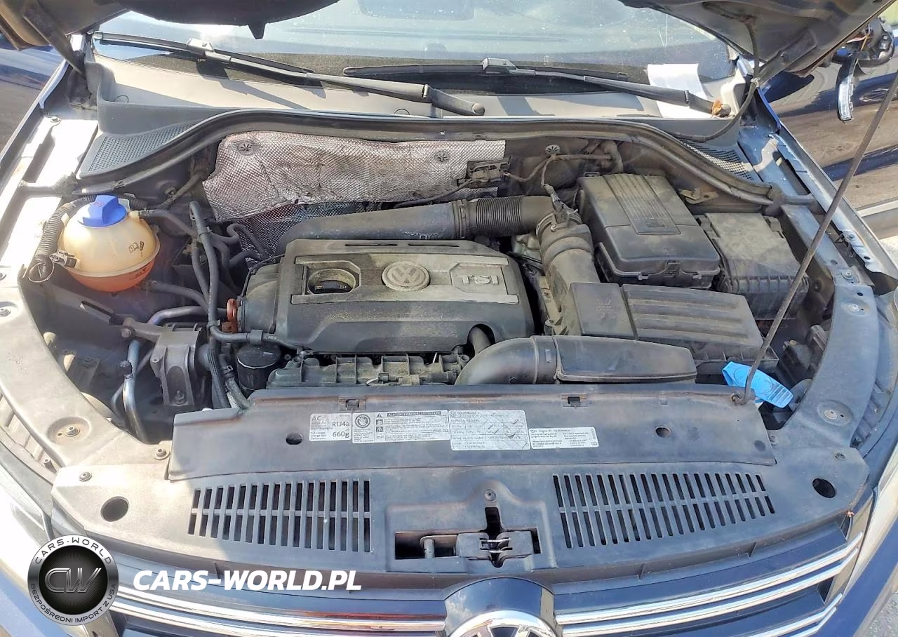 2012 Volkswagen Tiguan S VIN:WVGAV7AX8CW574370 - 12