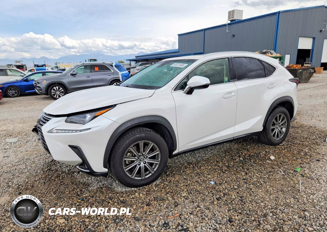 2019 Lexus Nx 300 Base
