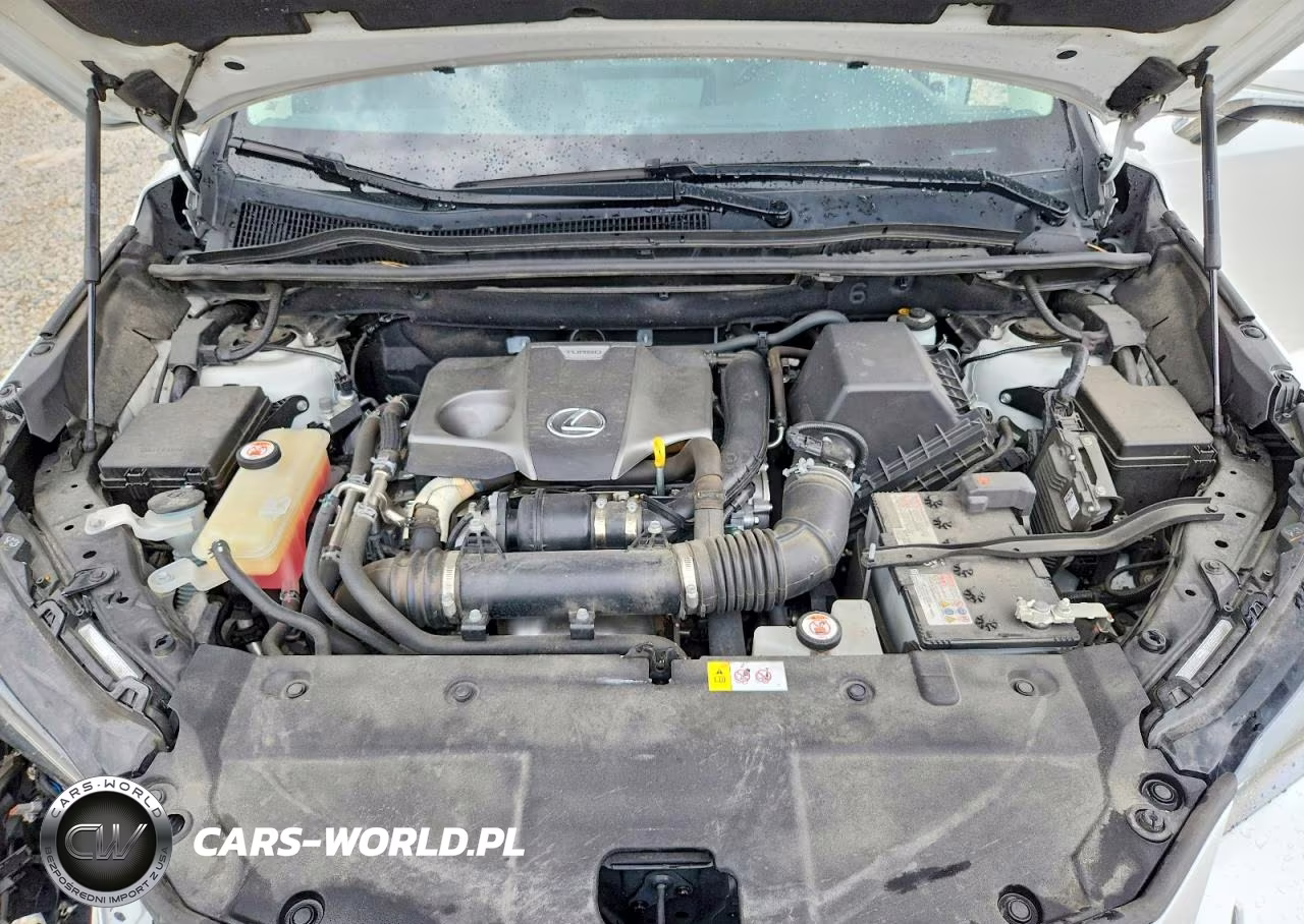2019 Lexus Nx 300 Base VIN:JTJBARBZ2K2180592 - 11