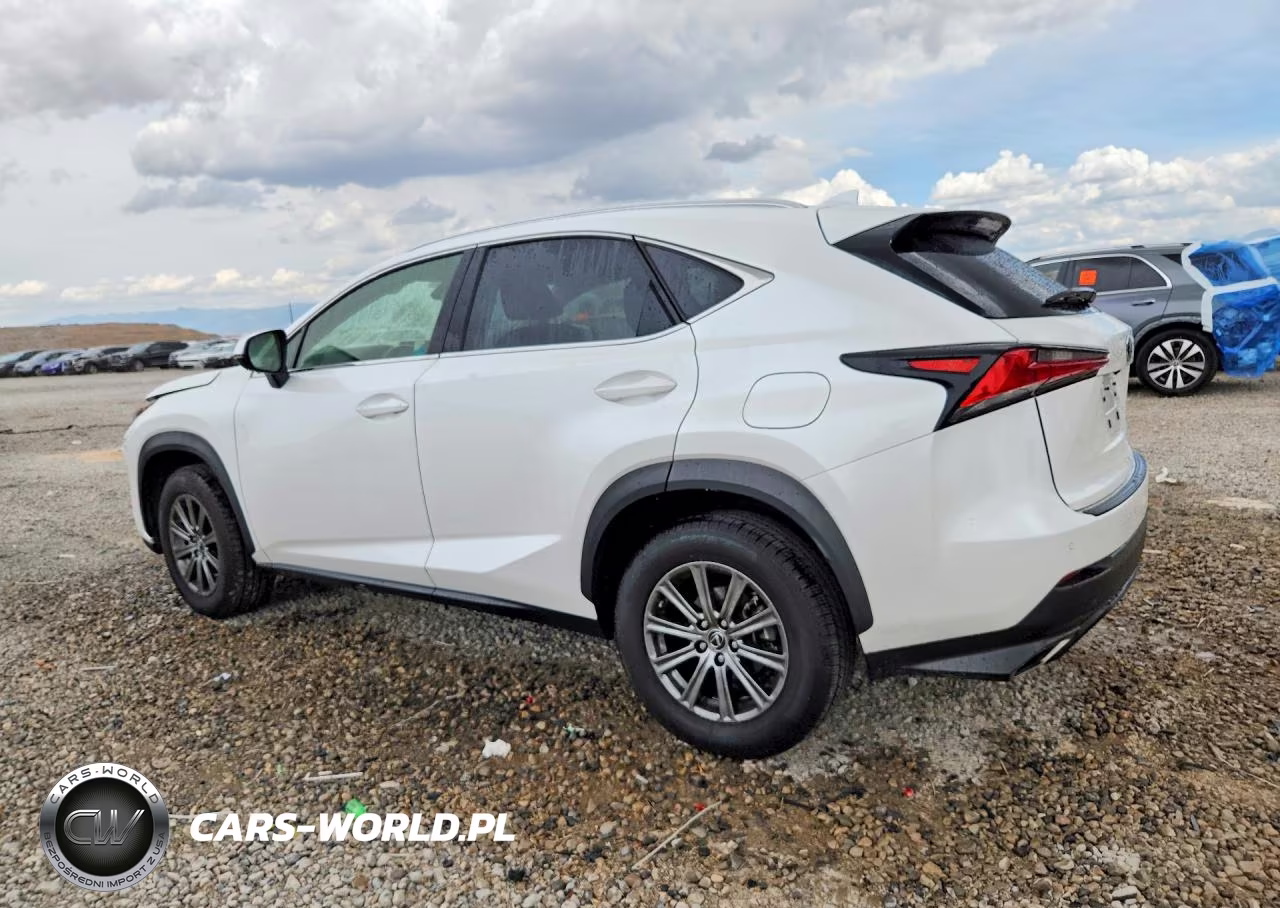 2019 Lexus Nx 300 Base VIN:JTJBARBZ2K2180592 - 2