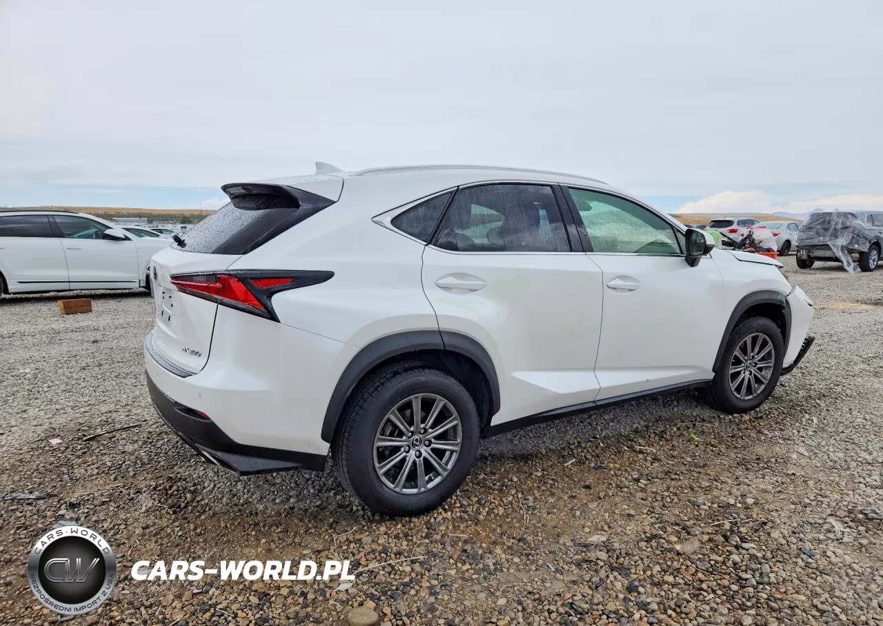 2019 Lexus Nx 300 Base VIN:JTJBARBZ2K2180592 - 3