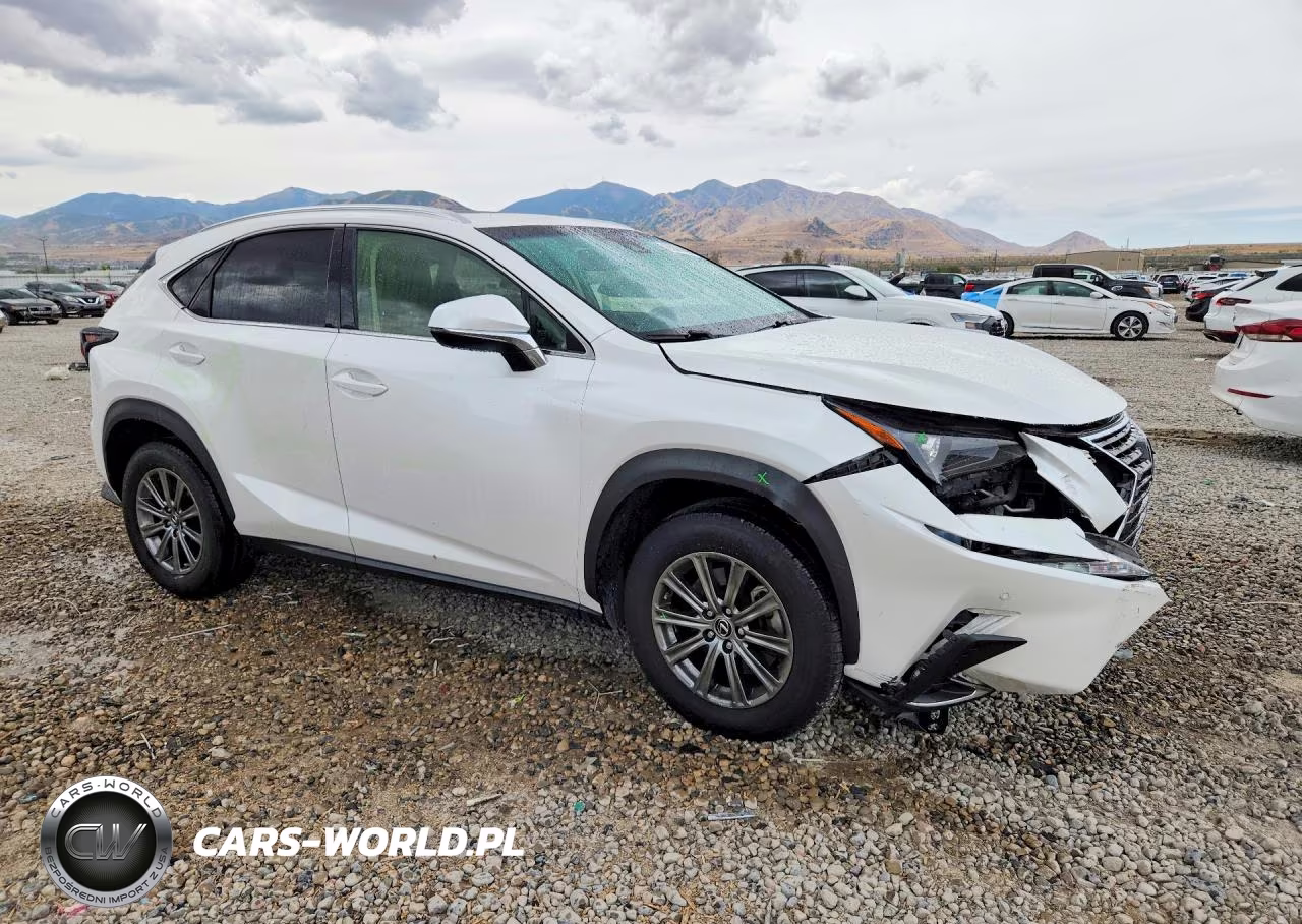 2019 Lexus Nx 300 Base VIN:JTJBARBZ2K2180592 - 4