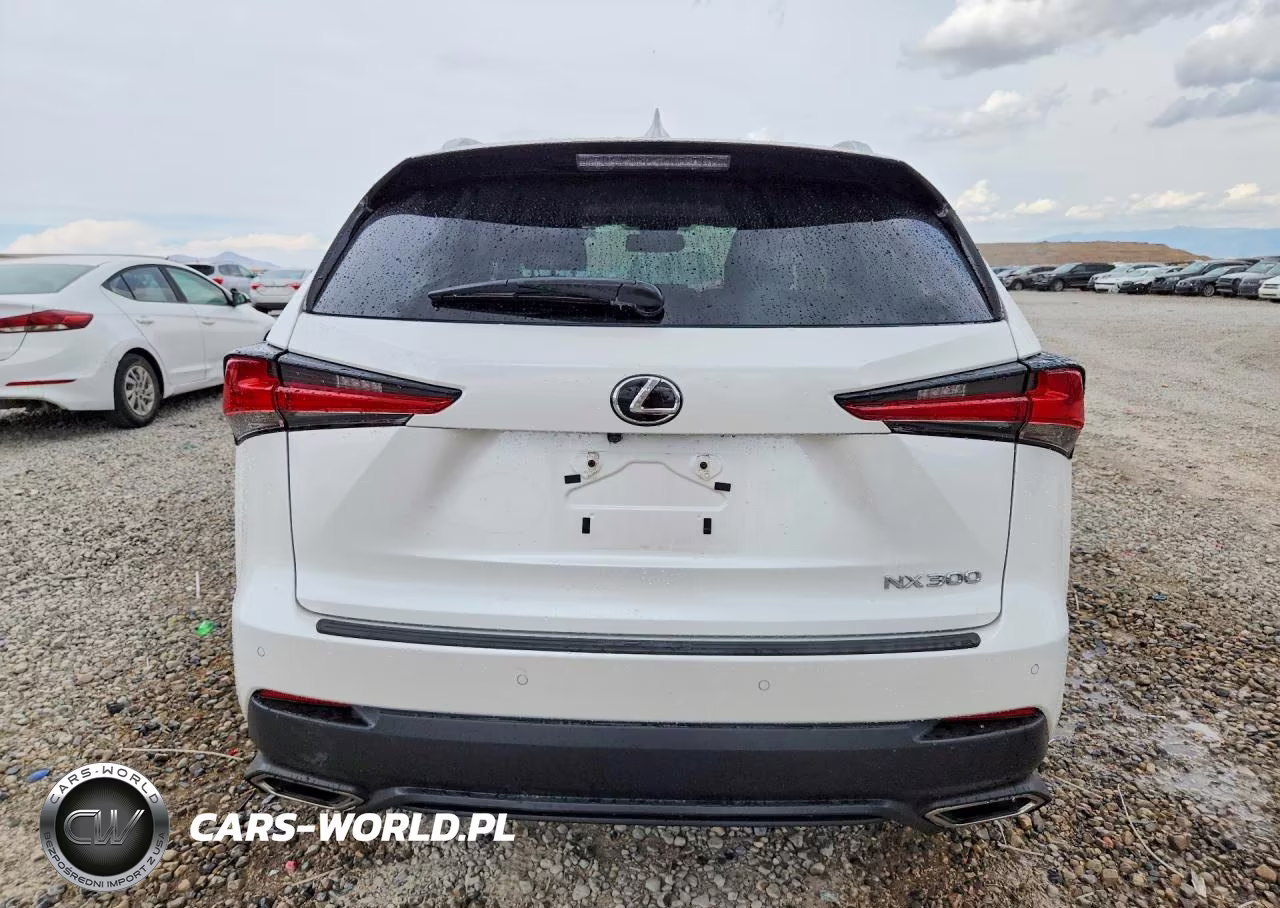 2019 Lexus Nx 300 Base VIN:JTJBARBZ2K2180592 - 6