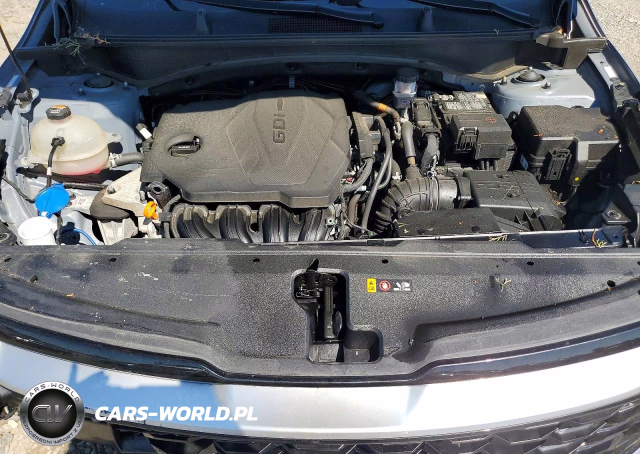 2023 Kia Sportage Ex VIN:5XYK33AF7PG029150 - 12