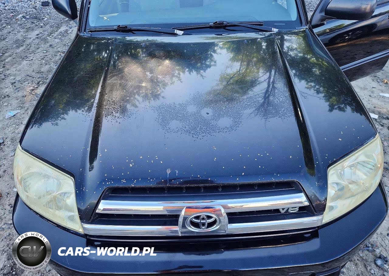 2005 Toyota 4Runner Sr5 VIN:JTEBT14RX58027189 - 12