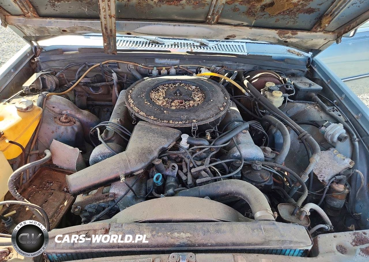 1975 Mercedes 450 Sel Rwd 4.5 8 Gasoline VIN:11603312036508 - 11