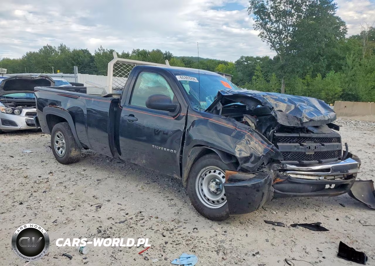 2010 Chevrolet Silverado C1500 VIN:1GCPCPEAXAZ190371 - 4