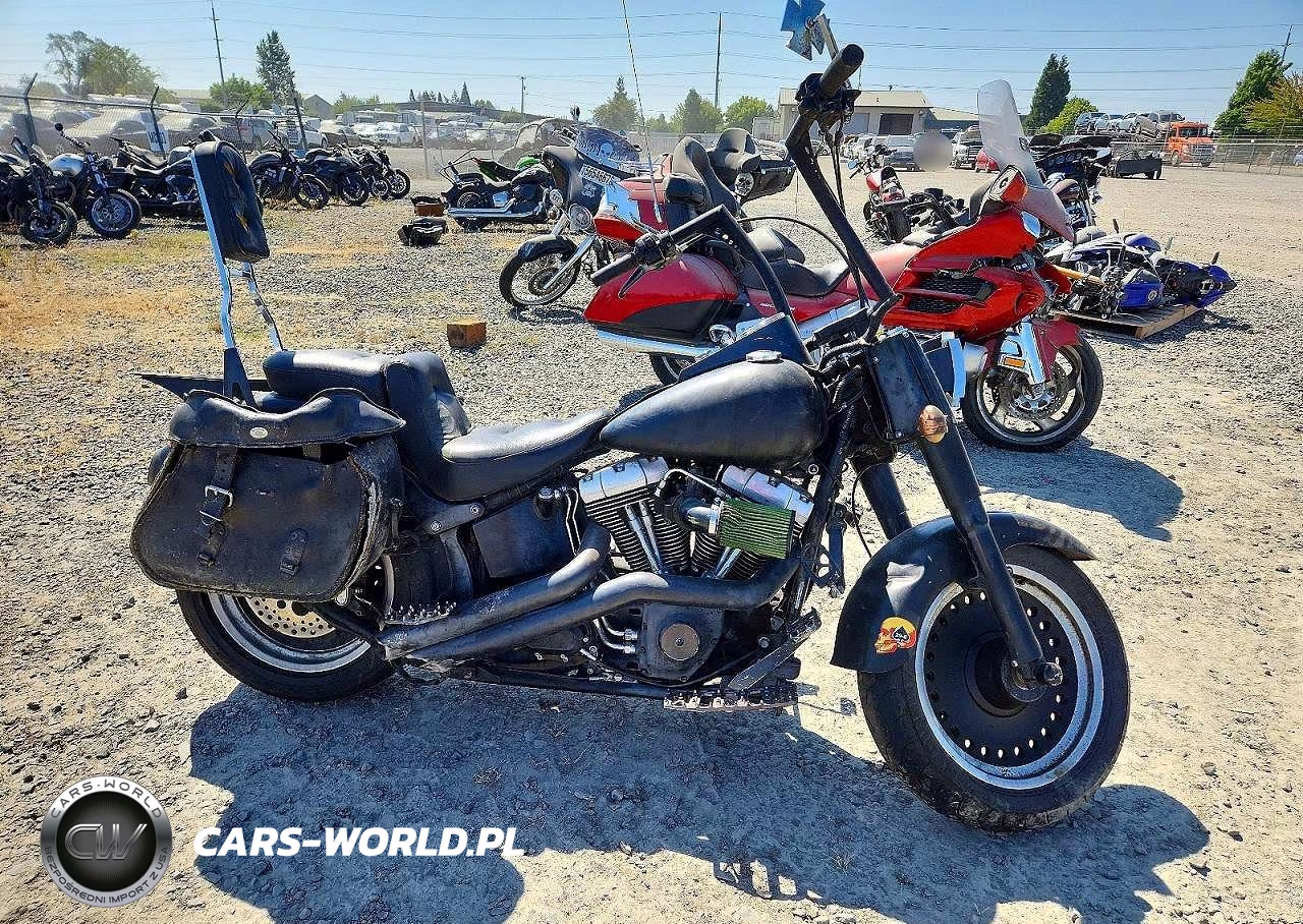 2010 Harley-Davidson Flstfb – zdjęcie 1 z 9