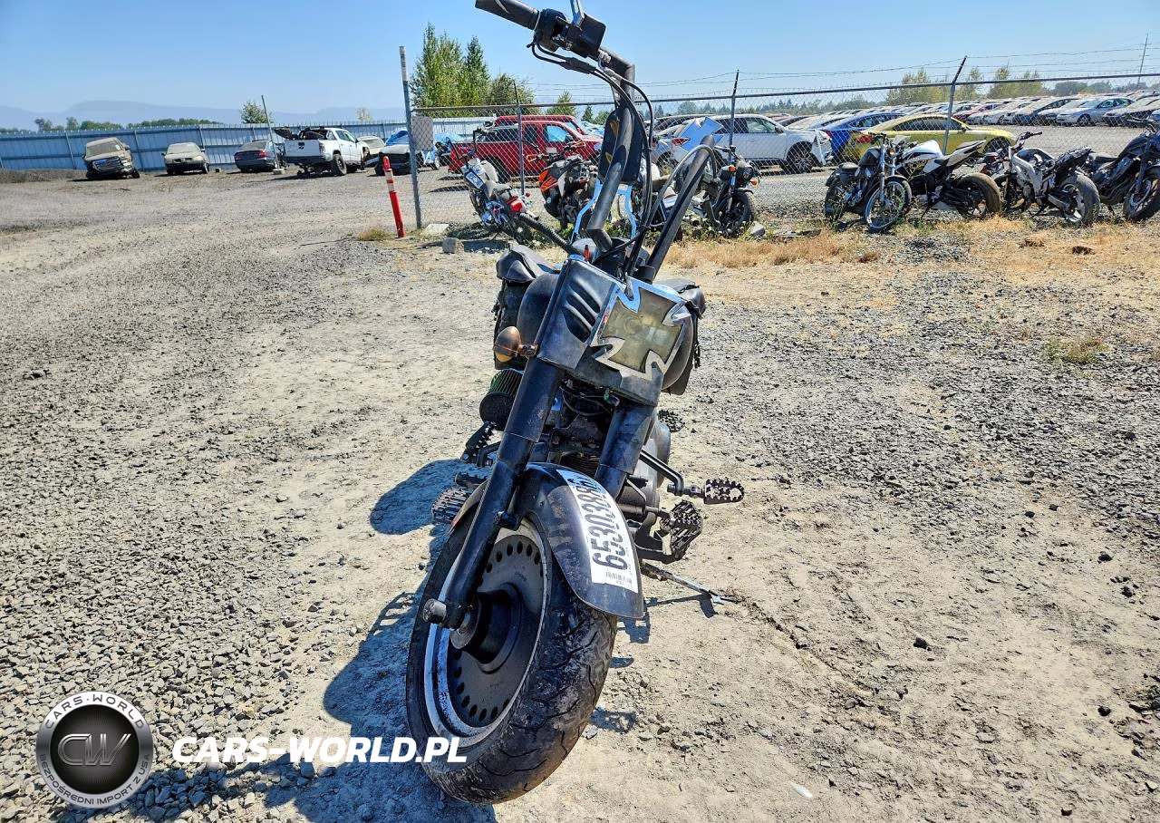2010 Harley-Davidson Flstfb VIN:1HD1JN512AB011019 - 2