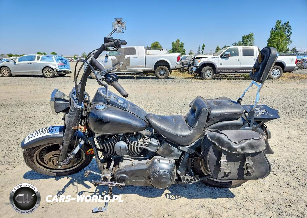2010 Harley-Davidson Flstfb VIN:1HD1JN512AB011019 - 3