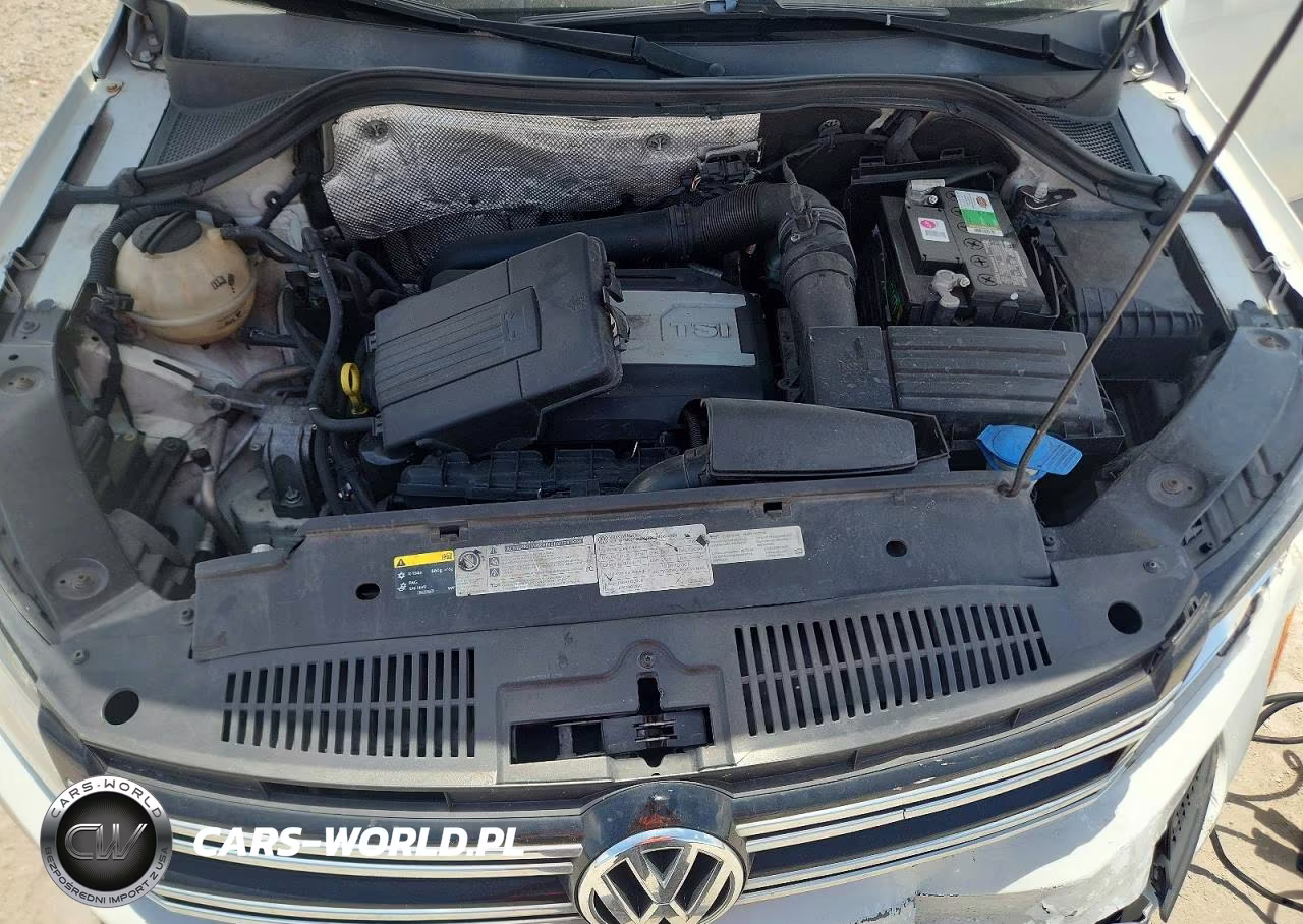 2015 Volkswagen Tiguan S VIN:WVGAV7AX1FW614549 - 12