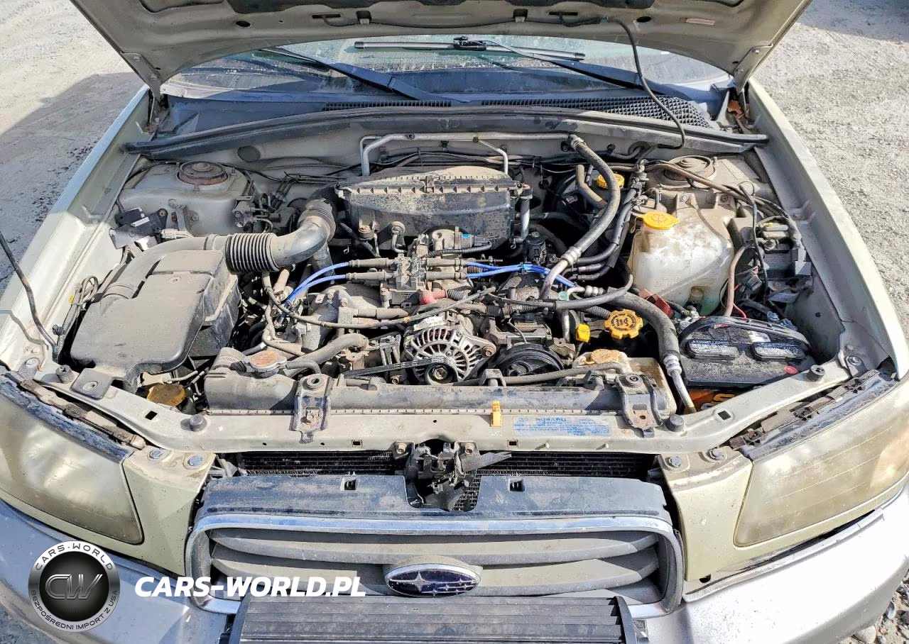2004 Subaru Forester 2.5Xs VIN:JF1SG65634H754012 - 12