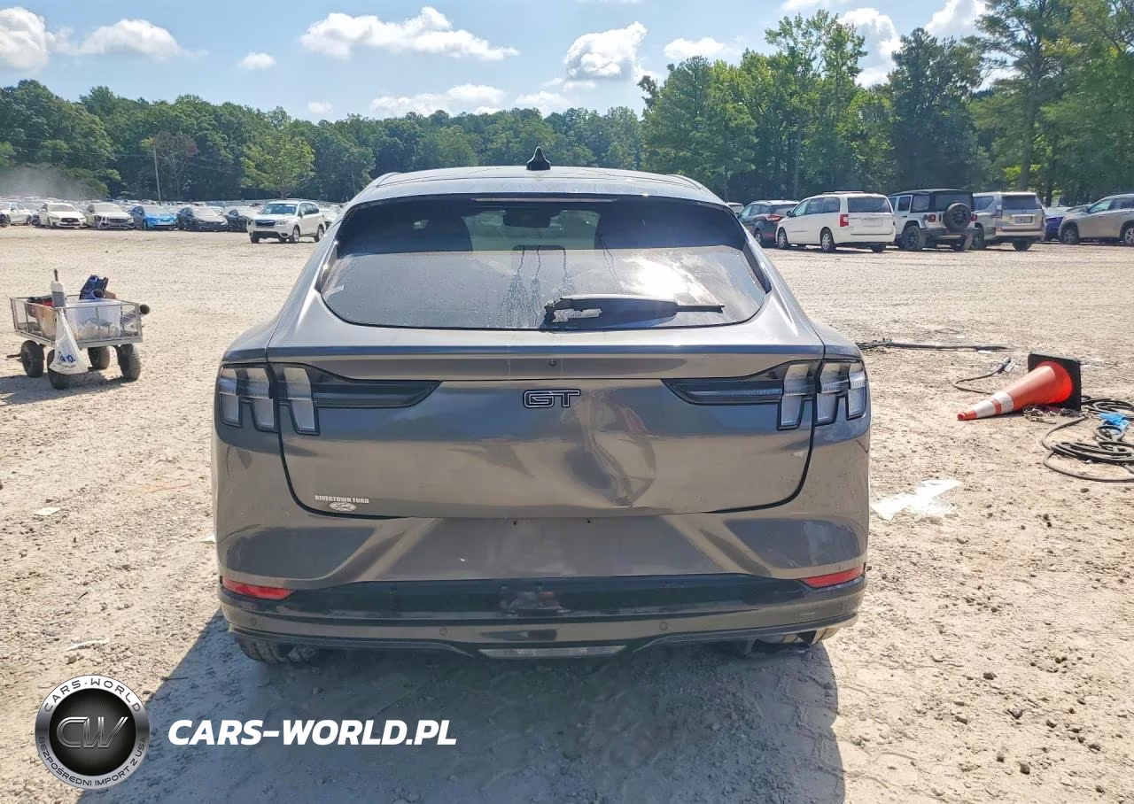 2023 Ford Mustang Mach-E Gt VIN:3FMTK4SE7PMA37394 - 6