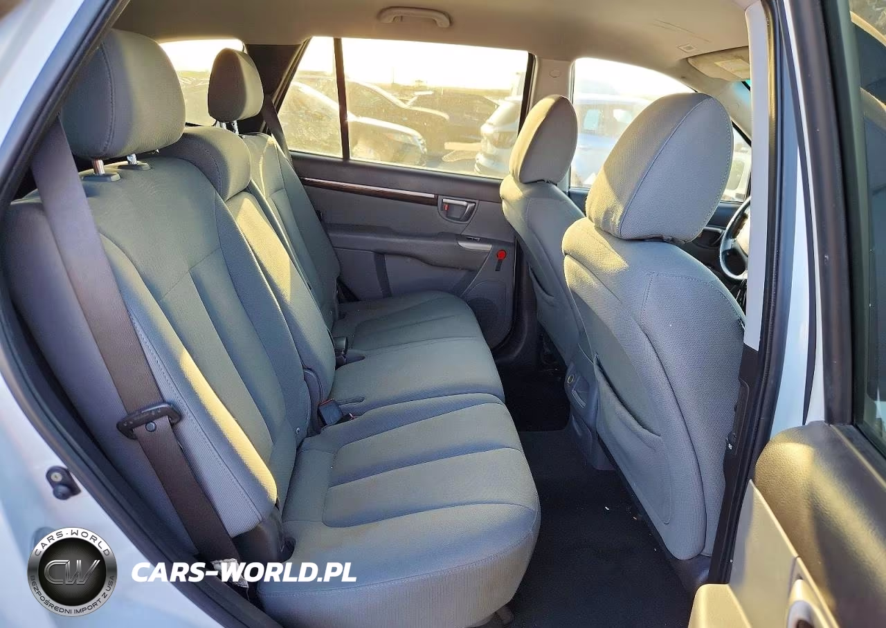 2010 Hyundai Santa Fe Gls VIN:5NMSG3AB4AH336516 - 11
