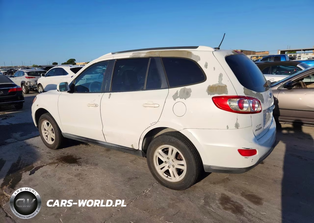 2010 Hyundai Santa Fe Gls VIN:5NMSG3AB4AH336516 - 2