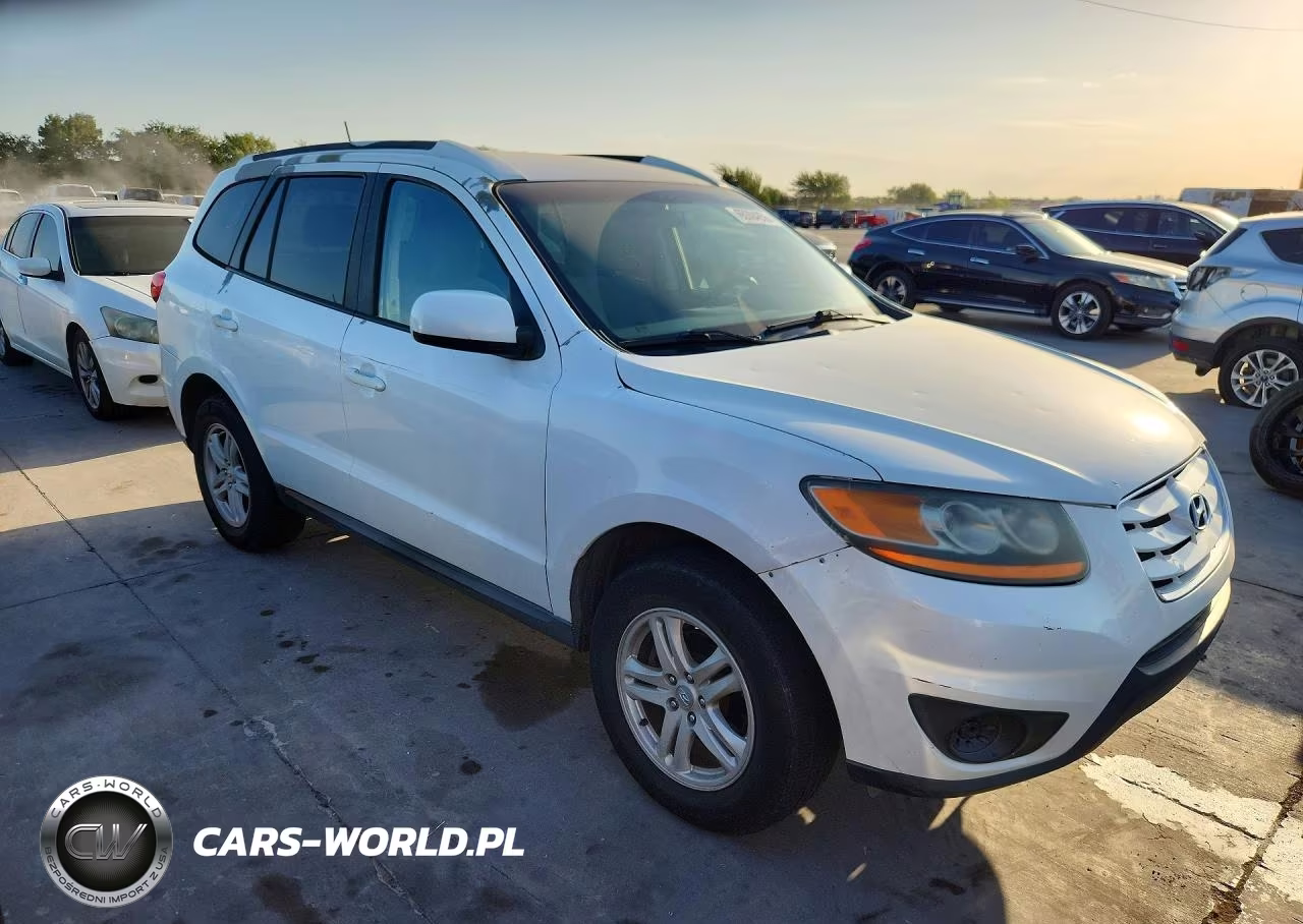 2010 Hyundai Santa Fe Gls VIN:5NMSG3AB4AH336516 - 4