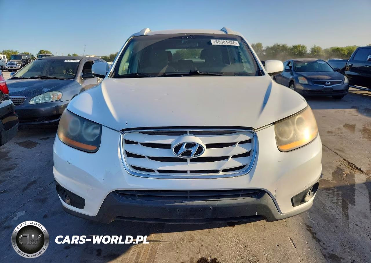 2010 Hyundai Santa Fe Gls VIN:5NMSG3AB4AH336516 - 5