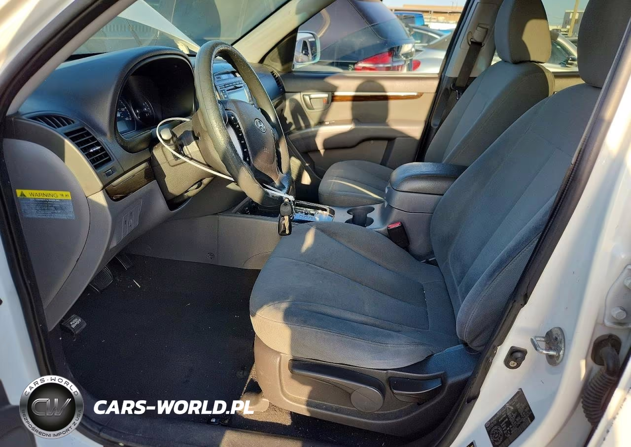 2010 Hyundai Santa Fe Gls VIN:5NMSG3AB4AH336516 - 7