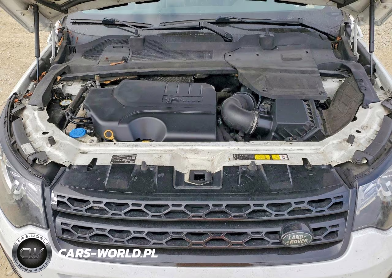 2019 Land Rover Discovery Sport Hse VIN:SALCR2FX8KH812100 - 12
