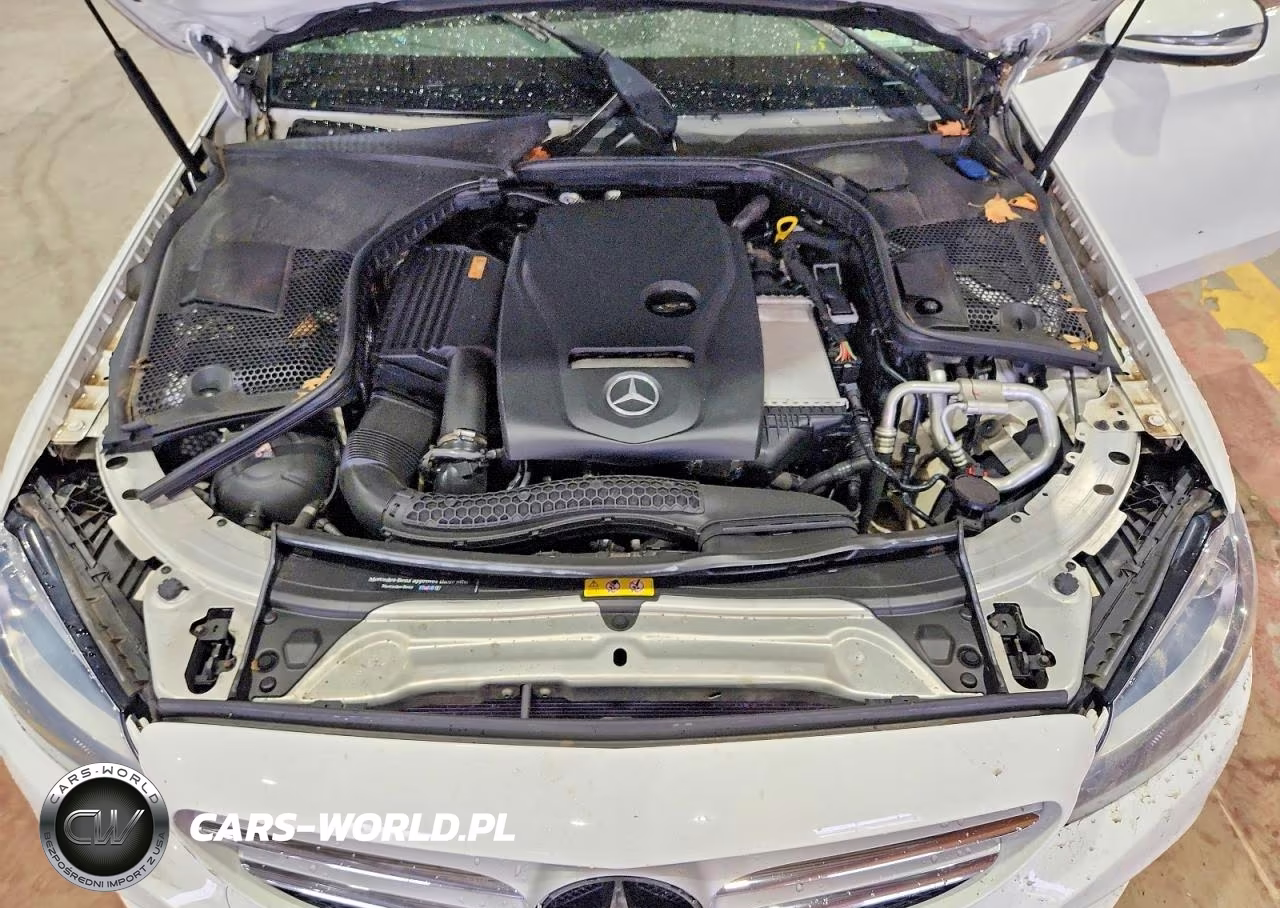2017 Mercedes-Benz C 300 4Matic VIN:55SWF4KB3HU222462 - 11