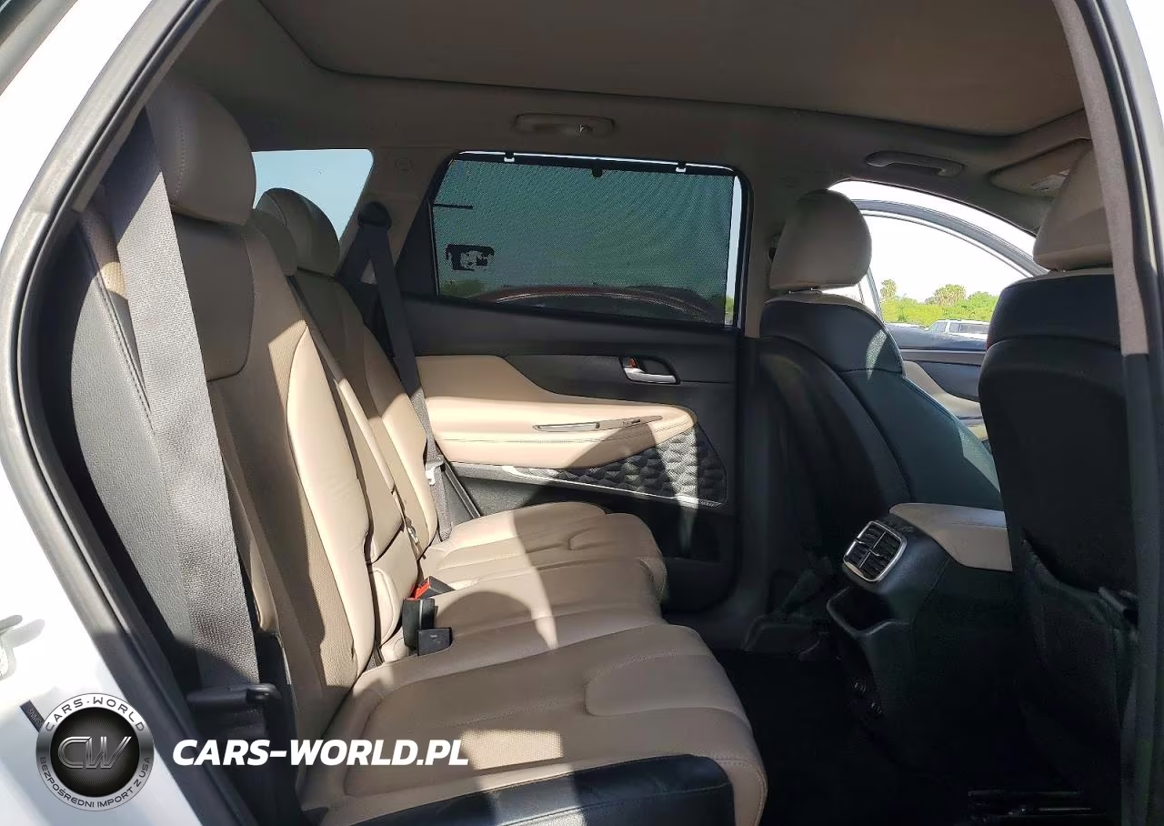 2020 Hyundai Santa Fe Sel 2.0T VIN:5NMS33AA3LH223663 - 10