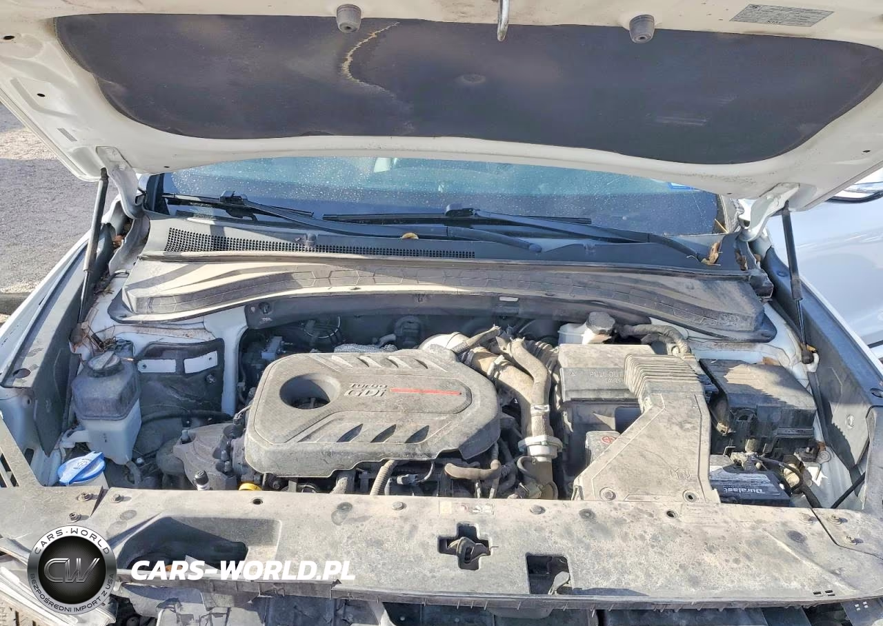 2020 Hyundai Santa Fe Sel 2.0T VIN:5NMS33AA3LH223663 - 11