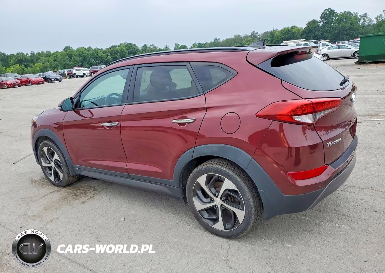 2016 Hyundai Tucson Limited VIN:KM8J3CA2XGU183743 - 2