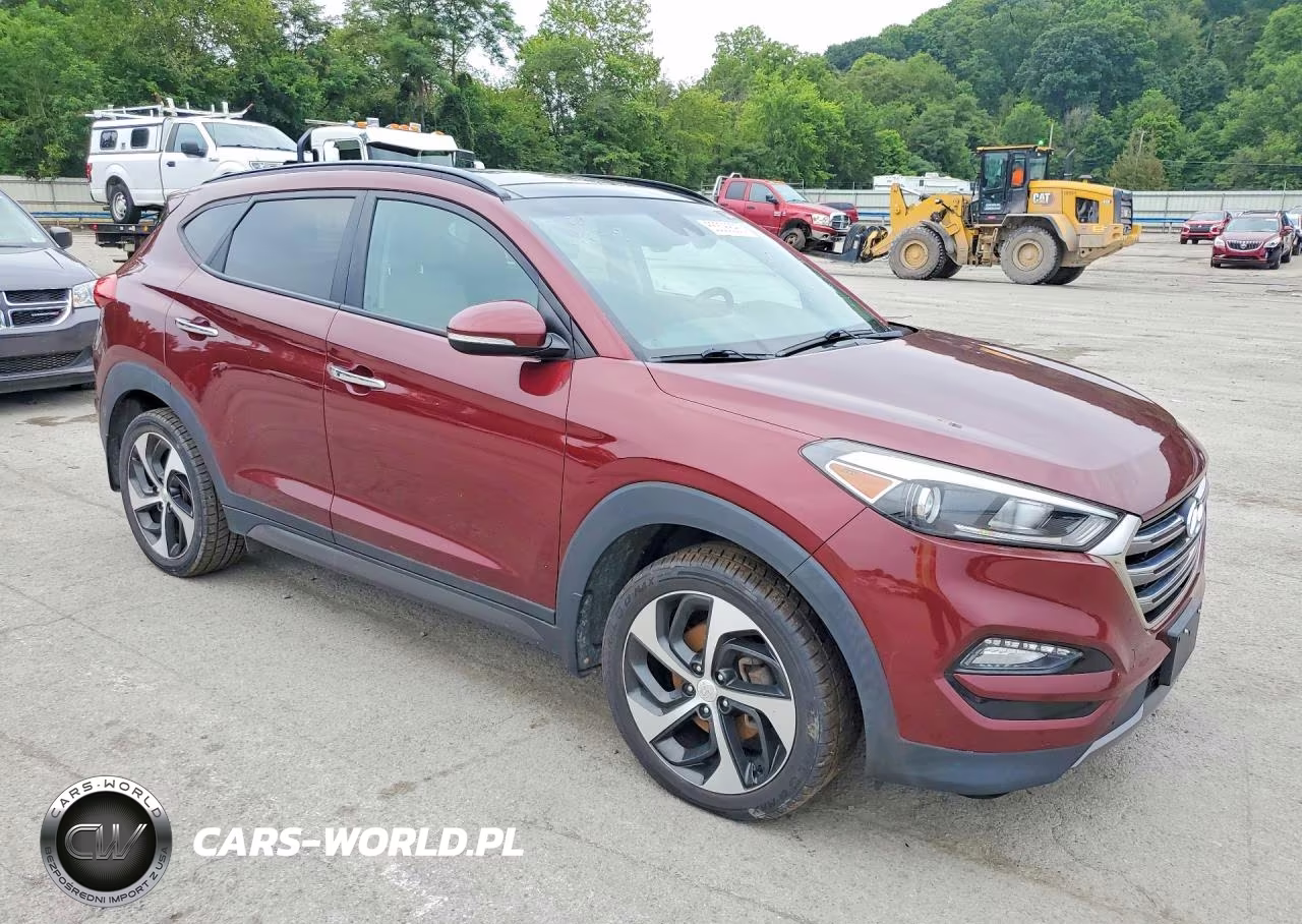 2016 Hyundai Tucson Limited VIN:KM8J3CA2XGU183743 - 4