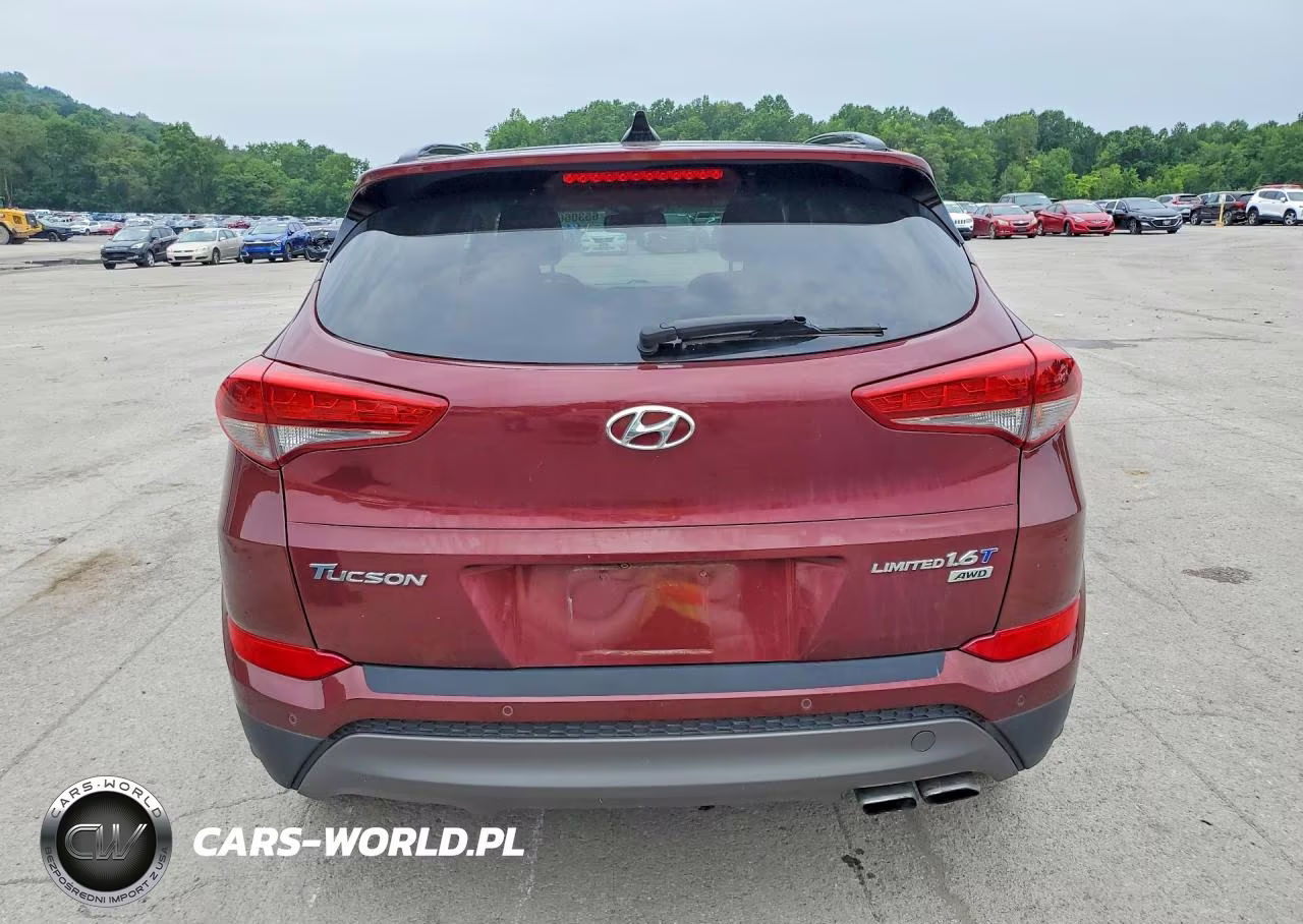 2016 Hyundai Tucson Limited VIN:KM8J3CA2XGU183743 - 6