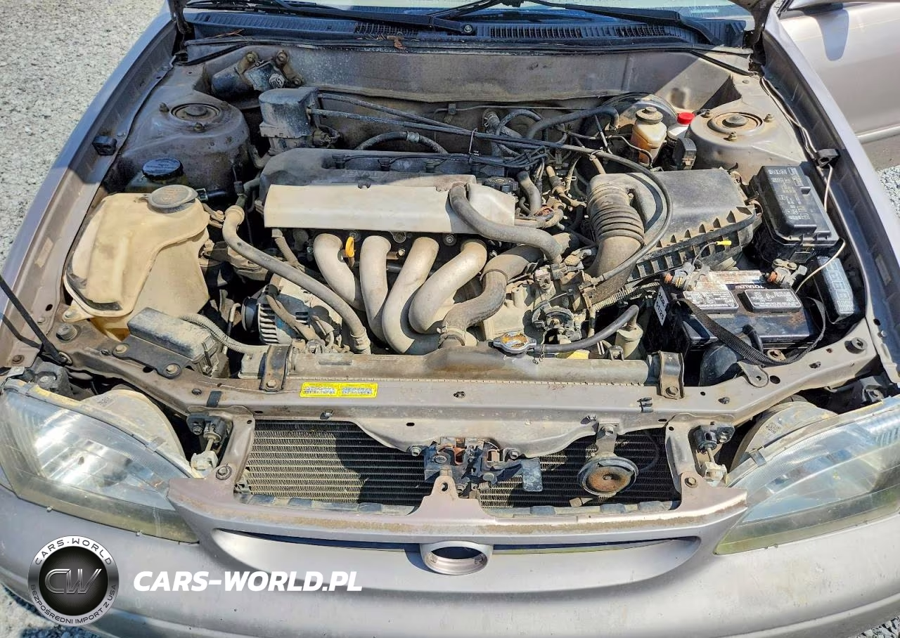 1998 Toyota Corolla Ve VIN:2T1BR18E8WC071420 - 11
