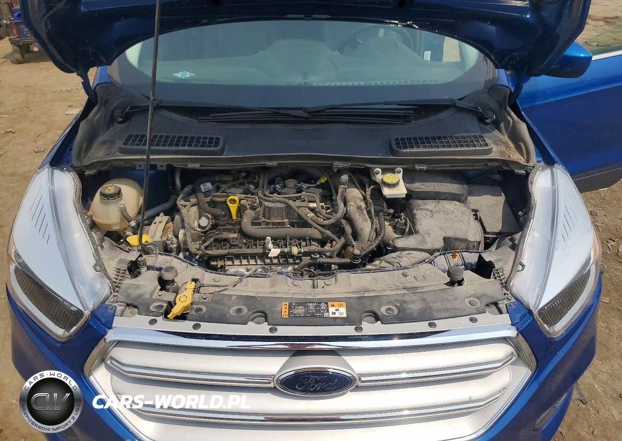 2019 Ford Escape Se VIN:1FMCU0GD1KUA16970 - 12