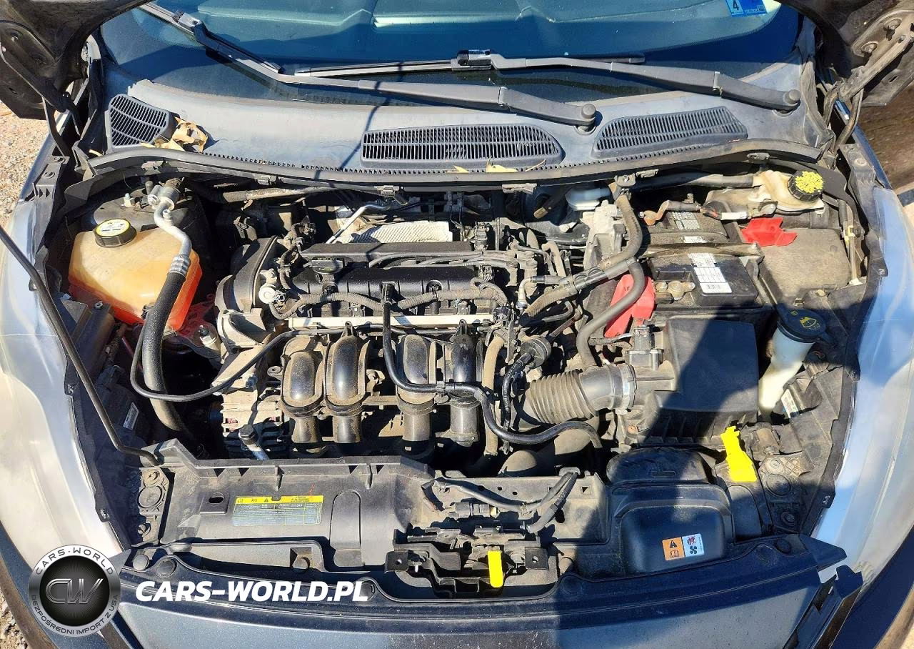 2011 Ford Fiesta Se VIN:3FADP4EJ1BM113550 - 12