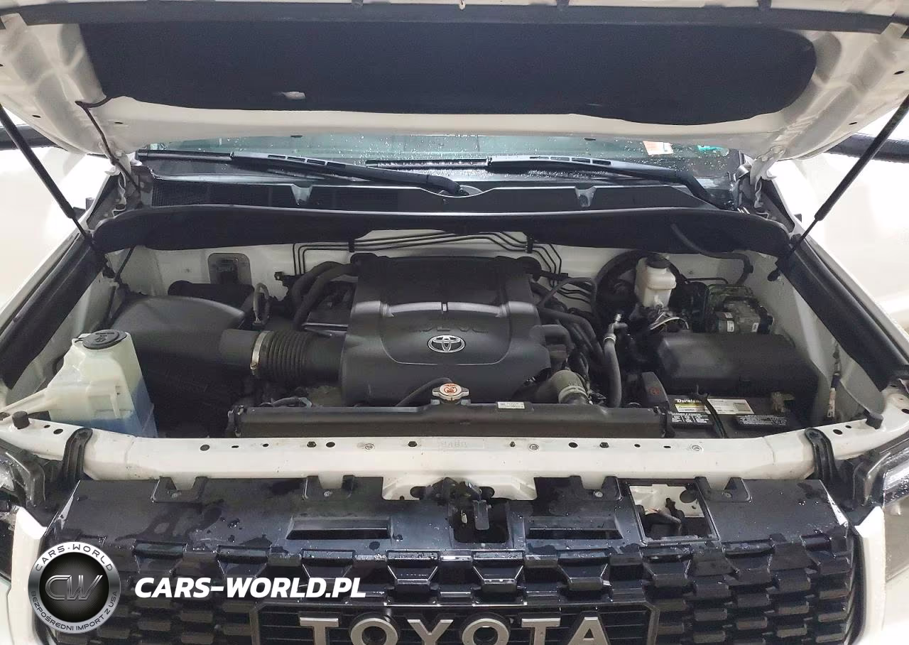 2019 Toyota Tundra Trd Pro VIN:5TFDY5F13KX834040 - 11