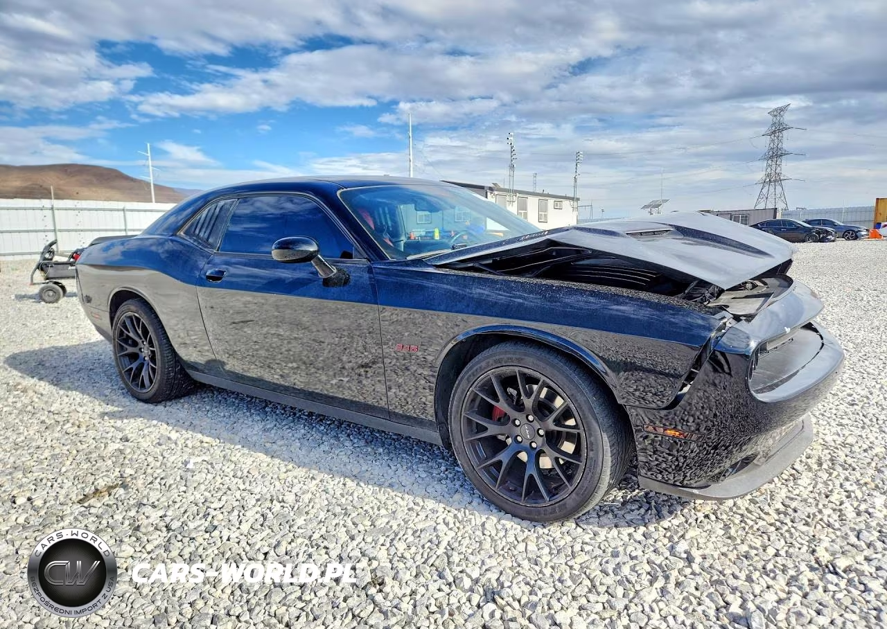2017 Dodge Challenger R-T VIN:2C3CDZBT6HH519322 - 4