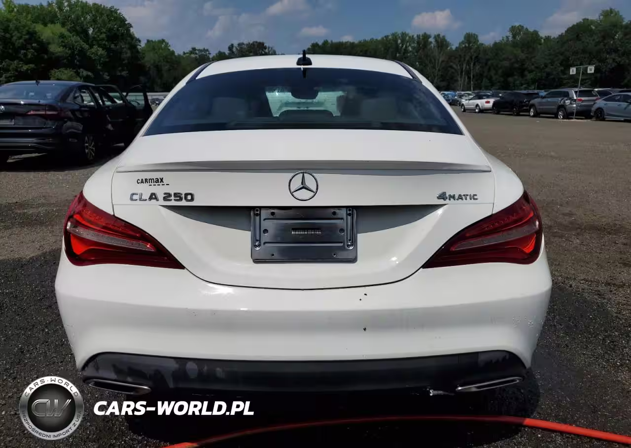 2019 Mercedes-Benz Cla 250 4Matic VIN:WDDSJ4GBXKN774868 - 6
