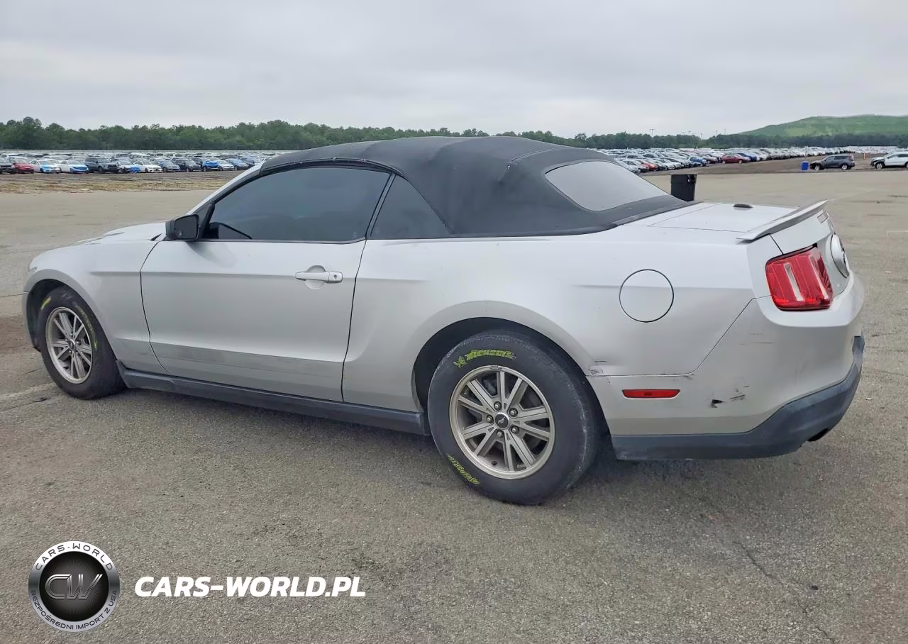 2010 Ford Mustang VIN:1ZVBP8EN2A5173317 - 2