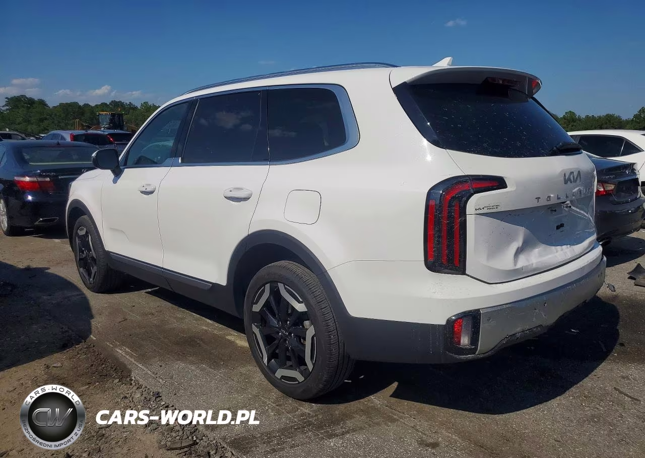 2024 Kia Telluride Ex VIN:5XYP3DGC9RG446829 - 2