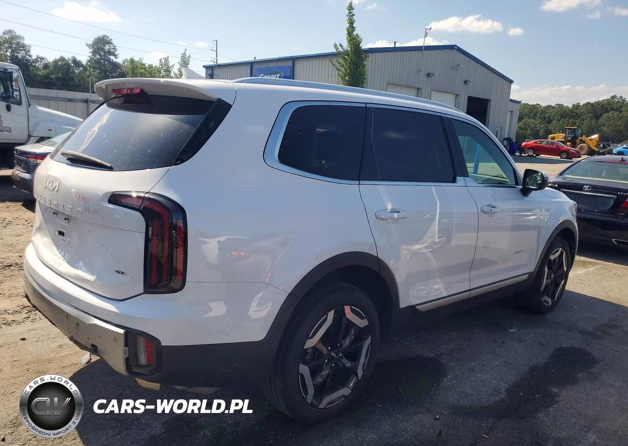 2024 Kia Telluride Ex VIN:5XYP3DGC9RG446829 - 3