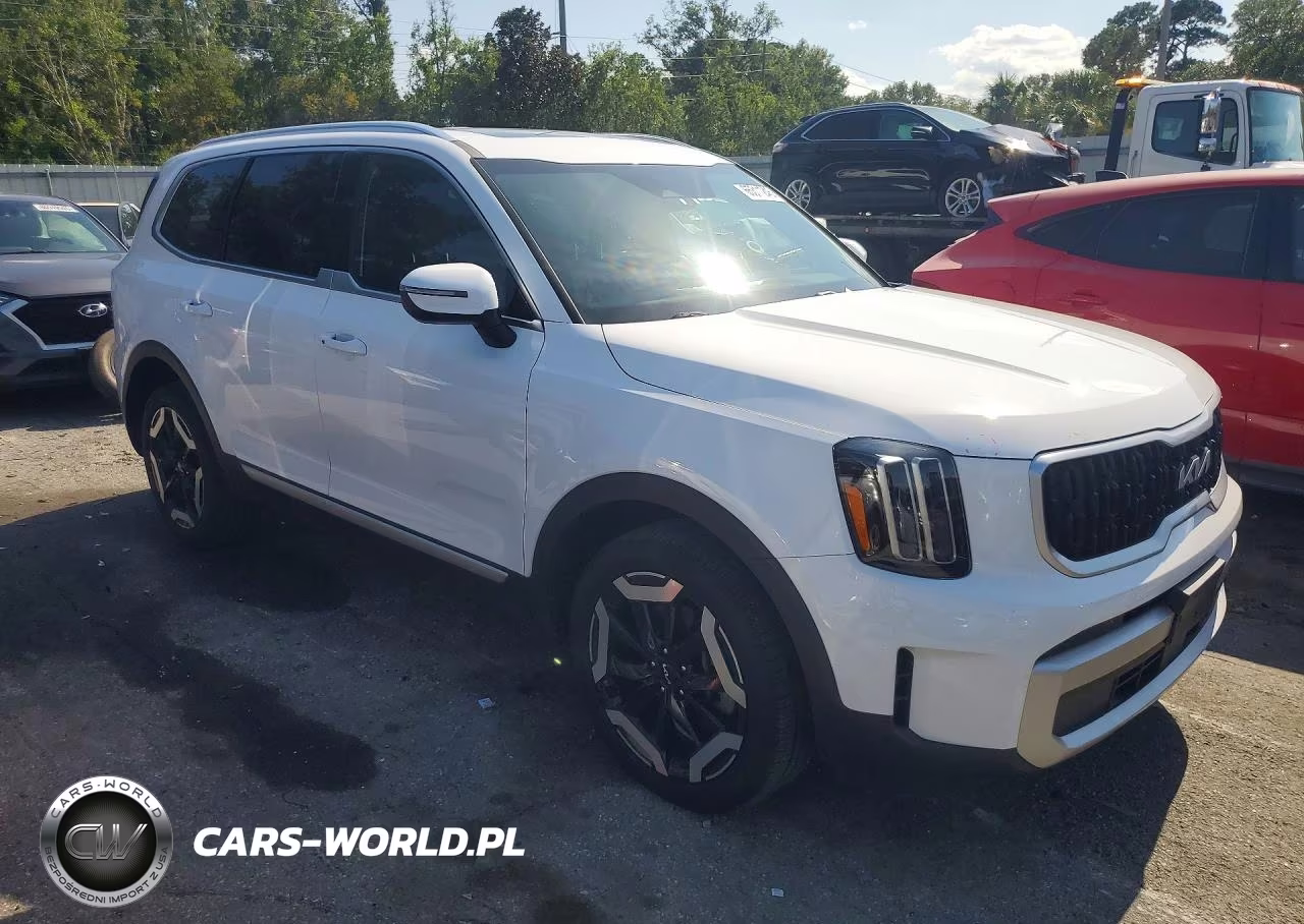 2024 Kia Telluride Ex VIN:5XYP3DGC9RG446829 - 4