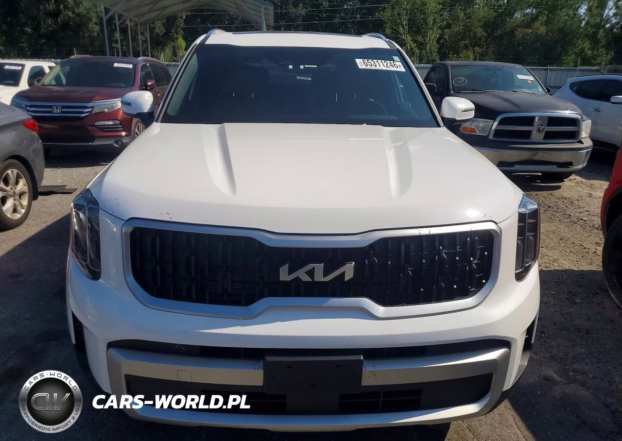 2024 Kia Telluride Ex VIN:5XYP3DGC9RG446829 - 5