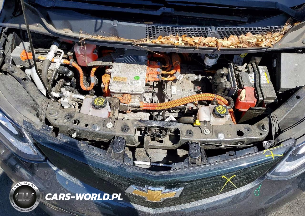 2019 Chevrolet Bolt Ev Premier VIN:1G1FZ6S09K4112221 - 11