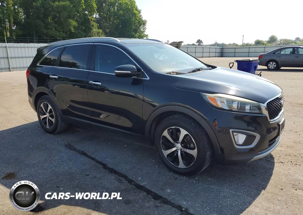 2017 Kia Sorento Ex VIN:5XYPH4A58HG253274 - 4