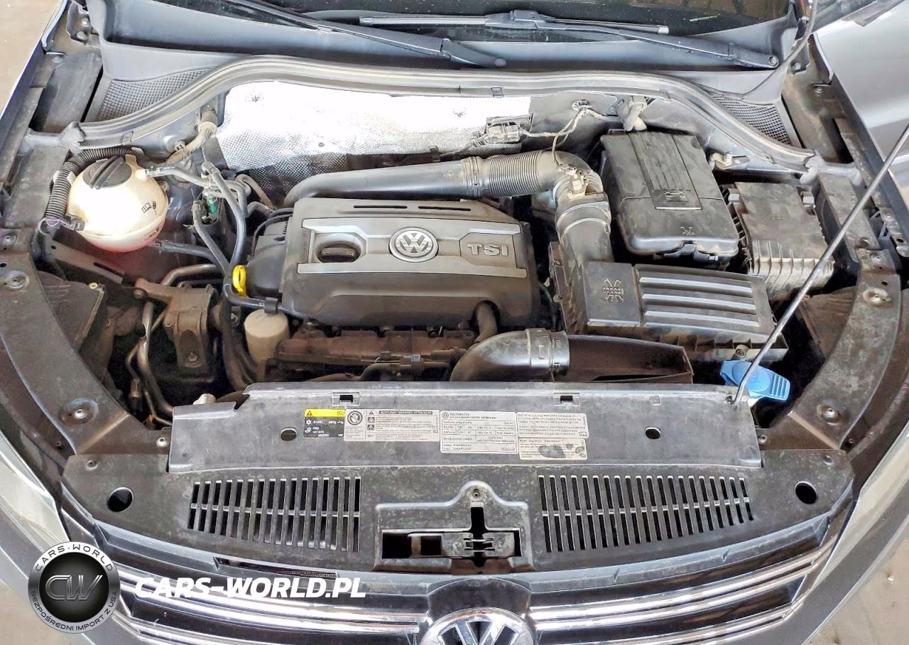 2016 Volkswagen Tiguan S VIN:WVGBV7AX3GW575212 - 11