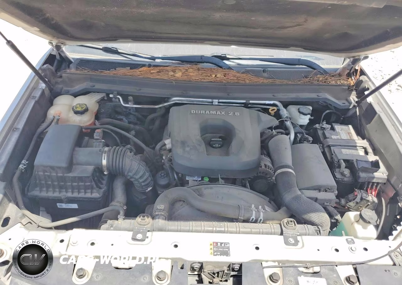 2019 Chevrolet Colorado Zr2 VIN:1GCPTEE15K1193022 - 11