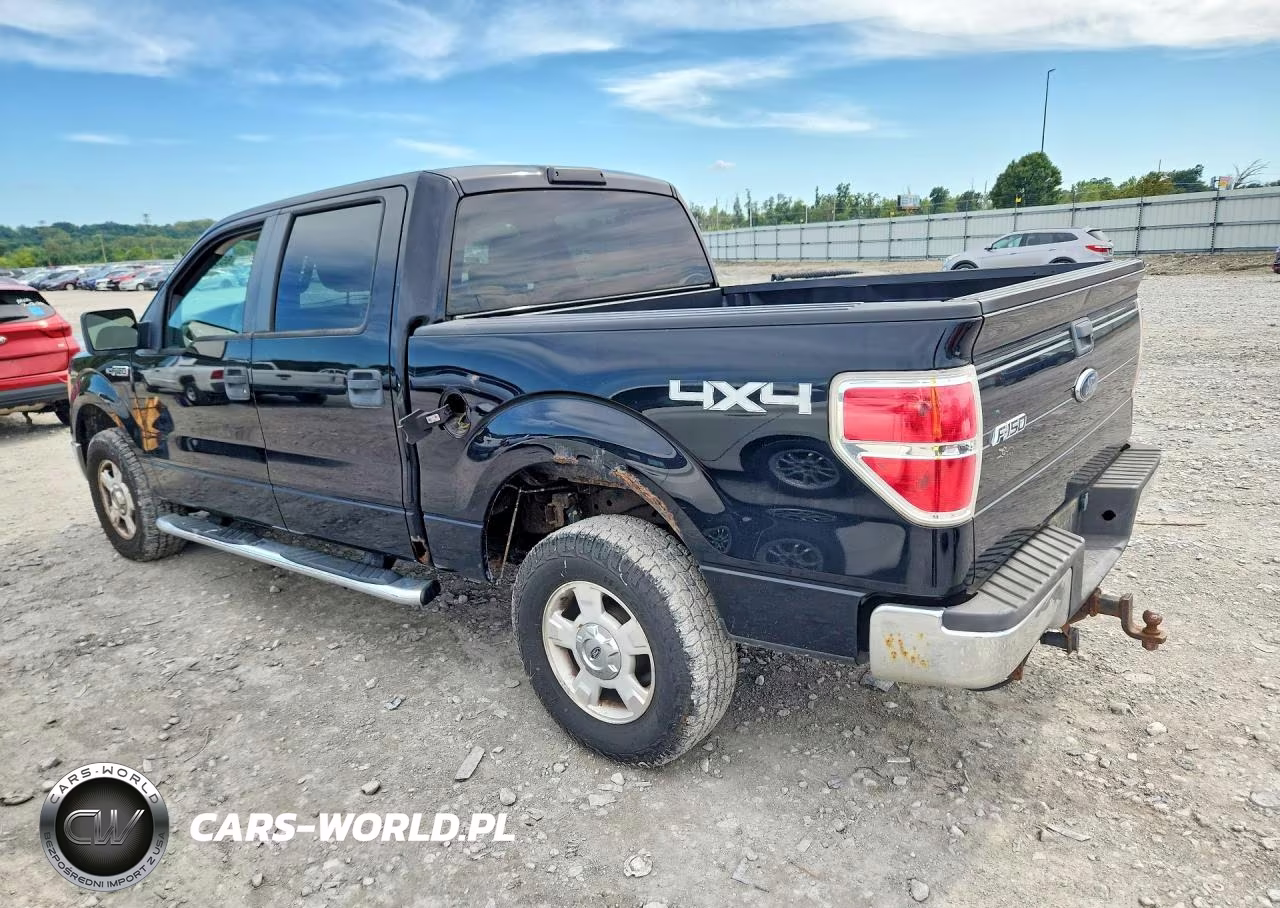 2009 Ford F150 Supercrew VIN:1FTPW14V59FB30679 - 2