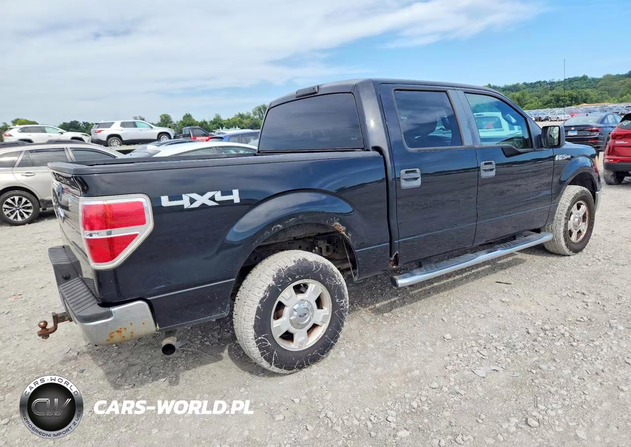 2009 Ford F150 Supercrew VIN:1FTPW14V59FB30679 - 3
