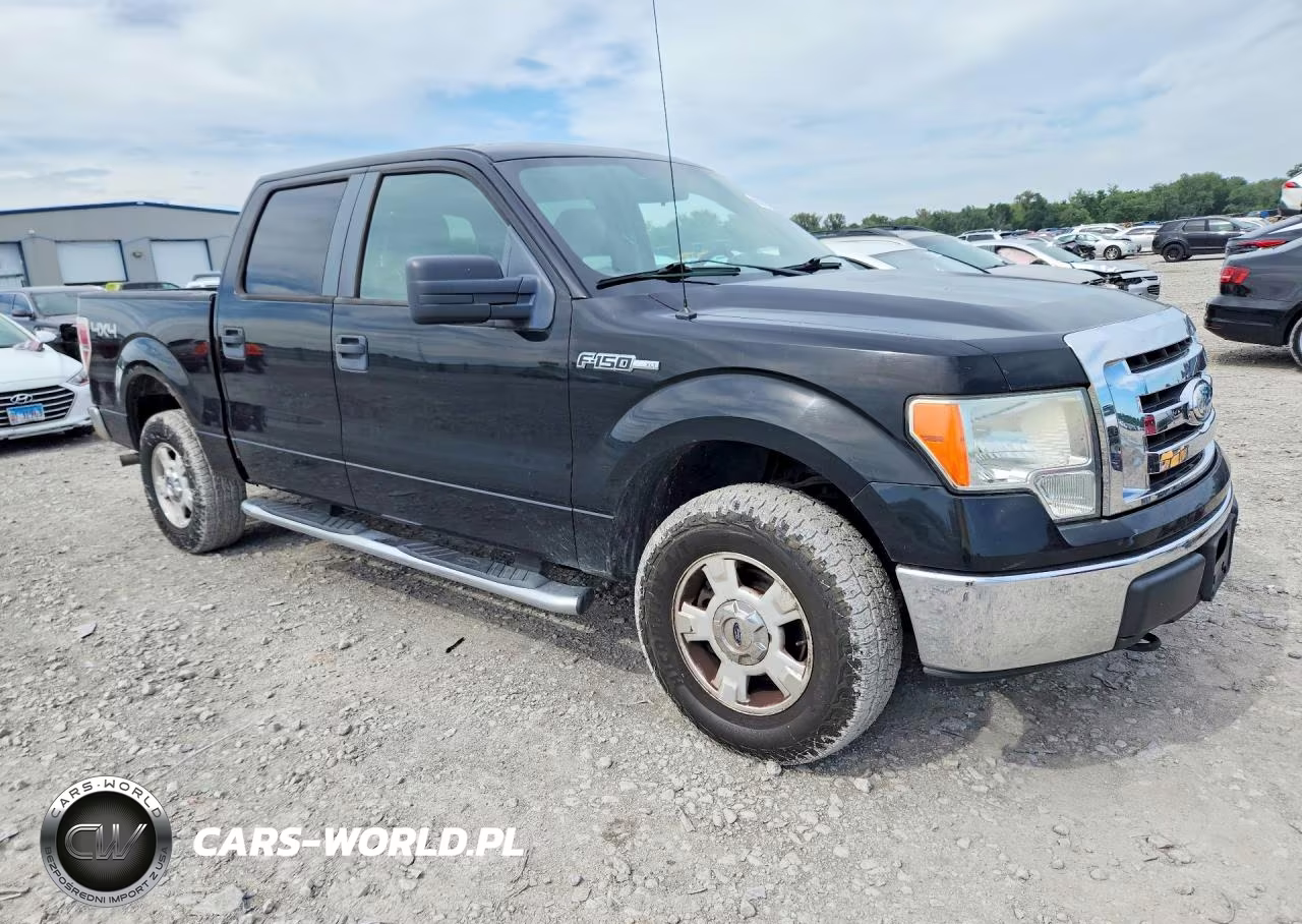 2009 Ford F150 Supercrew VIN:1FTPW14V59FB30679 - 4