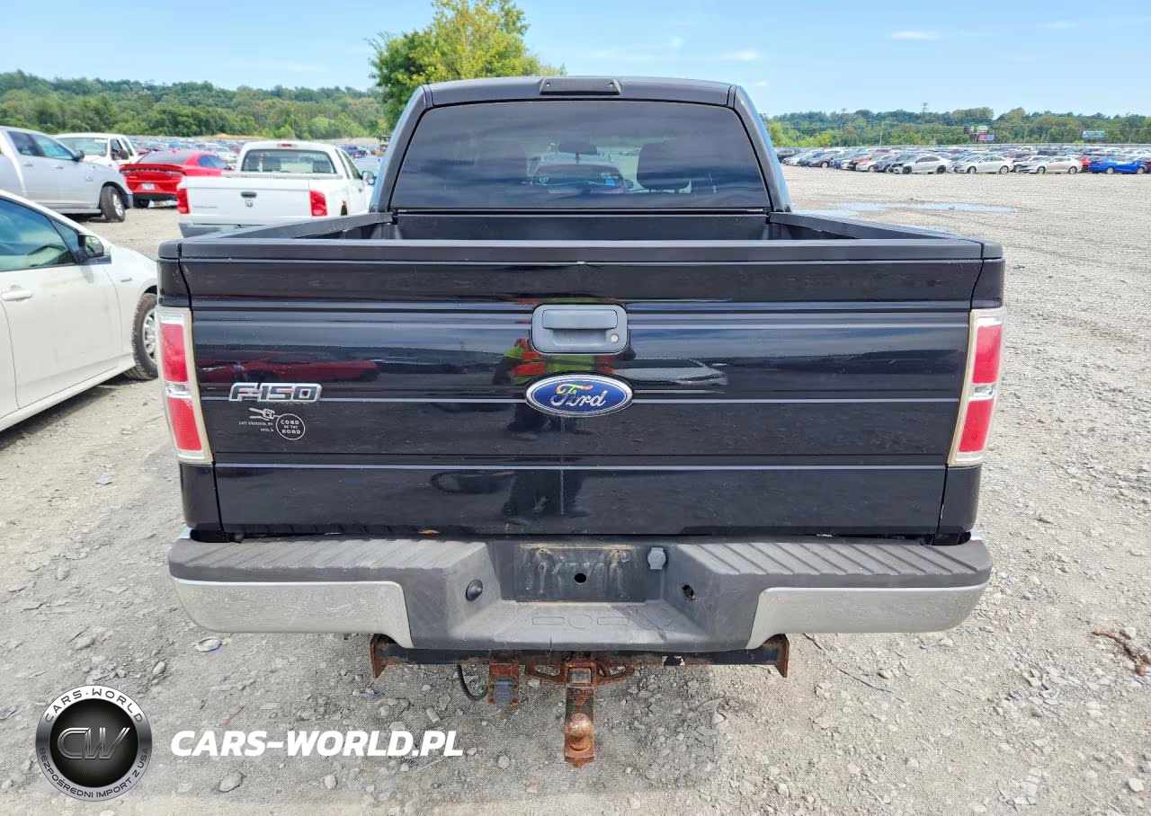 2009 Ford F150 Supercrew VIN:1FTPW14V59FB30679 - 6