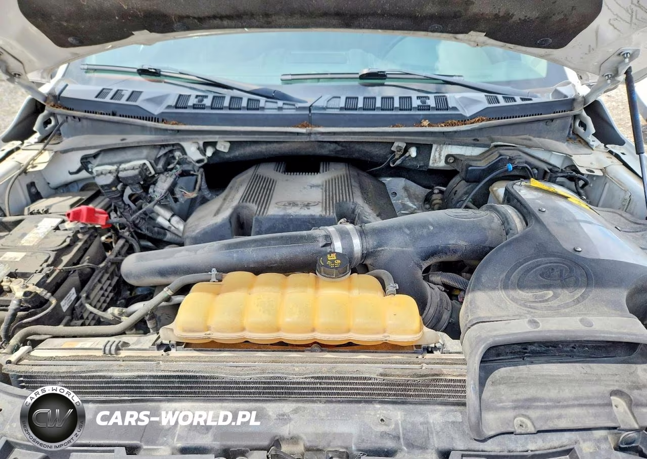 2019 Ford F150 Supercrew VIN:1FTEW1E43KKD12732 - 11