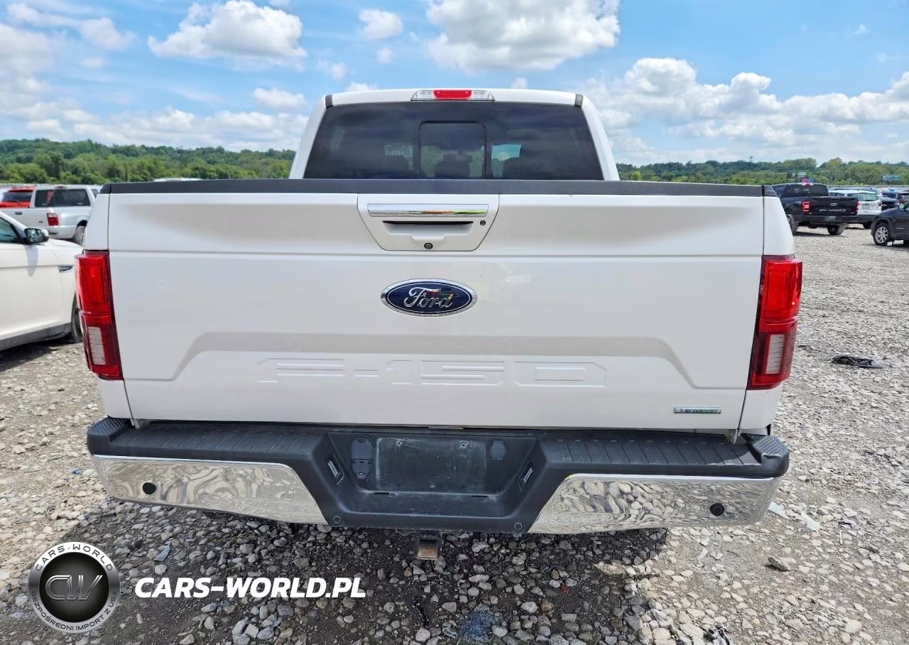 2019 Ford F150 Supercrew VIN:1FTEW1E43KKD12732 - 6